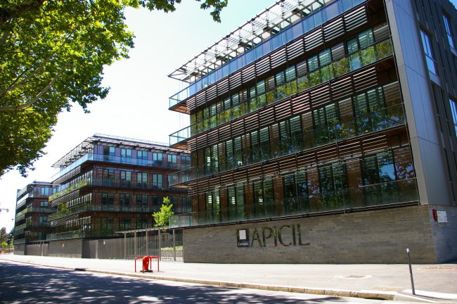 Apicil